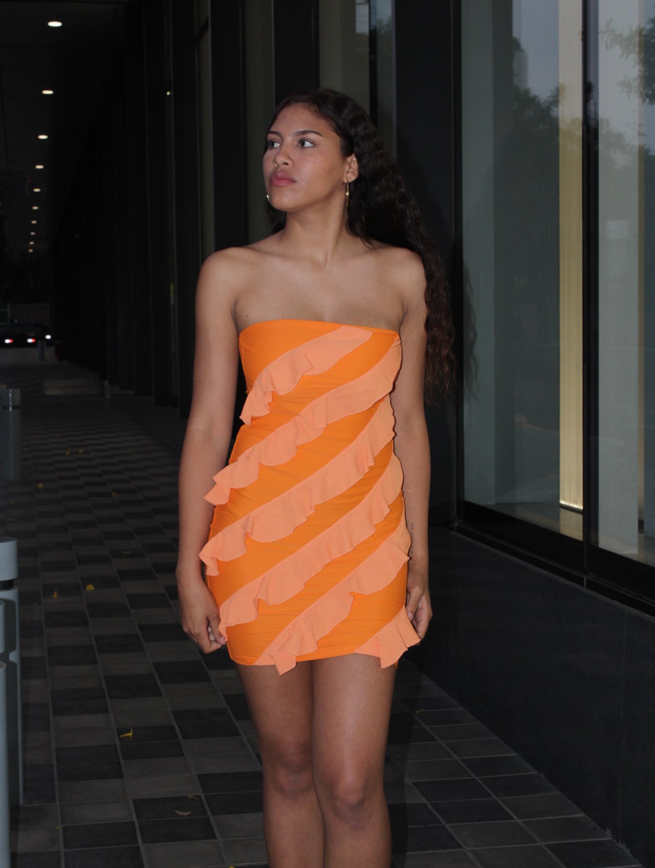 JANEYRO DRESS